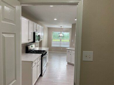 7435 Flora Rd, Manvel, TX 77578 - photo 6