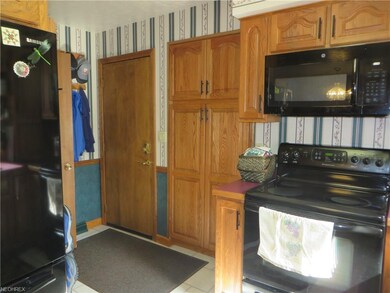 344 S Elm St, Jefferson, OH 44047 - photo 3