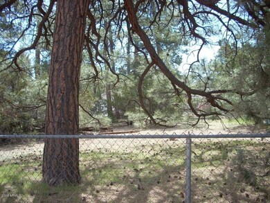 2053 WILDERNESS (6)