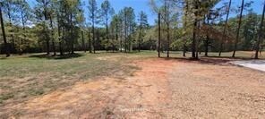 62377 Pine Meadow Rd, Amite, LA 70422 - photo 4