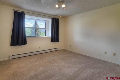 161 E 33rd St unit 6, Durango, CO 81301 - photo 5