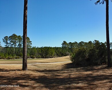 Golf Views