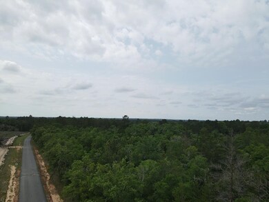 0 Central Rd unit 381525, Midway, FL 32344 - photo 7