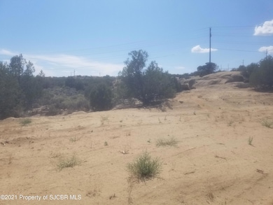 5302 Marcy Place, Farmington, NM 87402 - photo 5