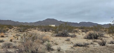 Hwy California 62, Joshua Tree, CA 92252 - photo 7
