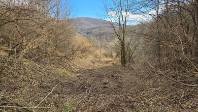 0 27 Acres Big Spring Elk unit 25-1445, Slatyfork, WV 26291 - photo 7