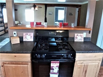 Kitchen with view of living room