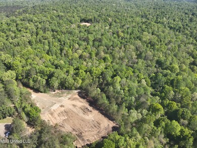 DJI_20250411100204_0002_V
