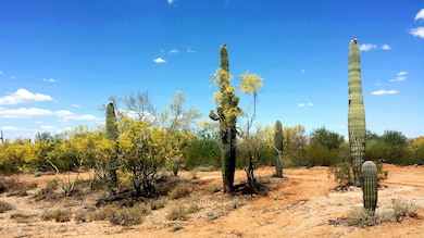 36334 E Pipeline Rd, Marana, AZ 85658 - photo 4