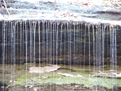 482 Little Possum Creek Rd, Linden, TN 37096 - photo 4