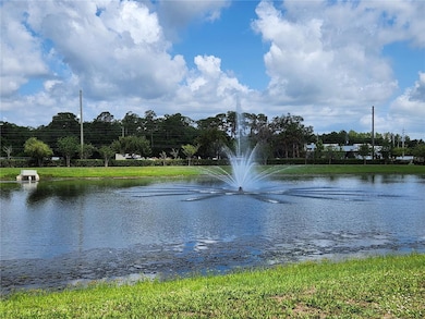 Pond View from Back Yard