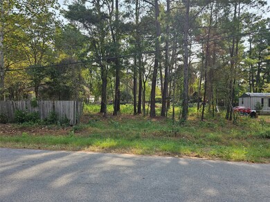 23815 Brushy Trails St, Hockley, TX 77447 - photo 3