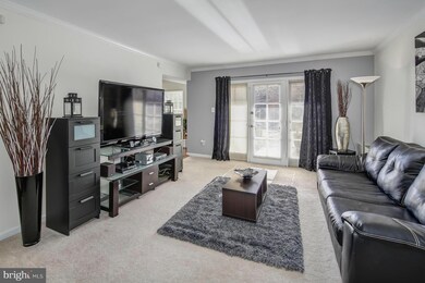 3330 Spring Ln unit D20, Baileys Crossroads, VA 22041 - photo 7