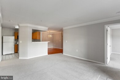 9050 Gracious End Ct unit 101, Columbia, MD 21046 - photo 7