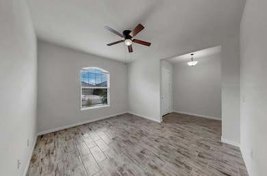 12905 Satin Lily Dr, Riverview, FL 33579 - photo 6