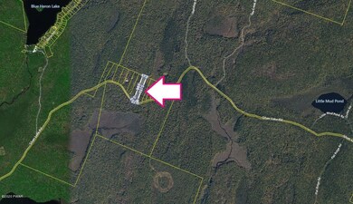 1113 Silver Lake Rd, Dingmans Ferry, PA 18328 - photo 5