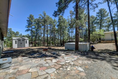 Back Yard 1