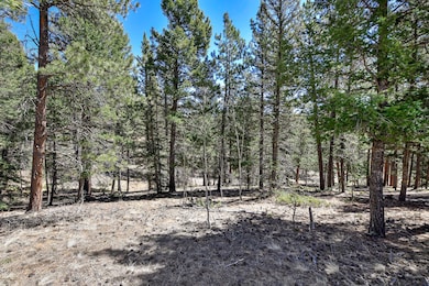860 Spring Creek Dr, Divide, CO 80814 - photo 3
