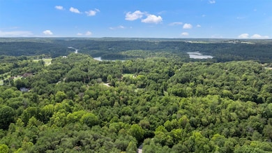 0 Dogwood Ridge, Cub Run, KY 42729 - photo 3