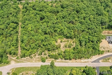 4495 Kingfisher Ct, Augusta, MO 63332 - photo 5