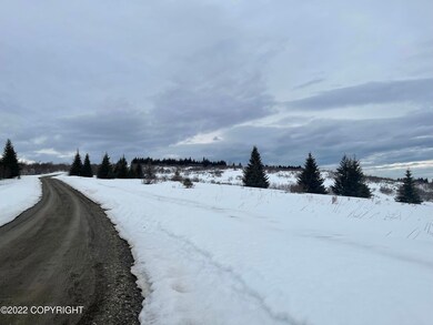 64890 Knob Hill Rd, Anchor Point, AK 99556 - photo 3
