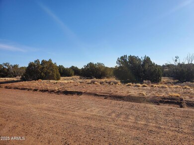 3933 Hidden Ranch Rd unit 56, Snowflake, AZ 85937 - photo 6
