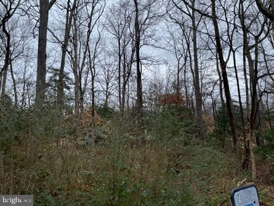 0 Sandy Ct unit MDSM2005482, Mechanicsville, MD 20659 - photo 4