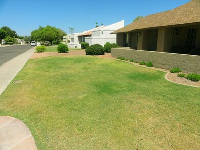 Grass Front Yard
