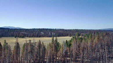 IMG_5751