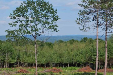 210 Ridge Rd unit 3, New Durham, NH 03855 - photo 4