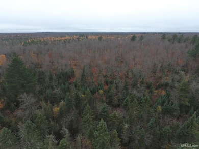 19495 S Nestoria Rd, Michigamme, MI 49861 - photo 5