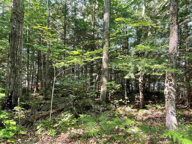 00 Moss Flower Ln, Canaan, NH 03741 - photo 3