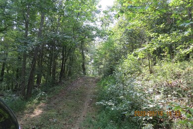 257 Selph Rd, Stewart, TN 37175 - photo 5