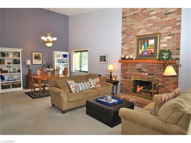 Great rm & dining rm have a vaulted ceiling & abun