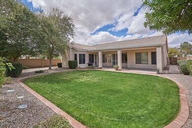 Mature and Well Maintained Backyard