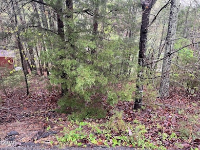 Lot 1 Mountain View Ln, Pigeon Forge, TN 37863 - photo 3