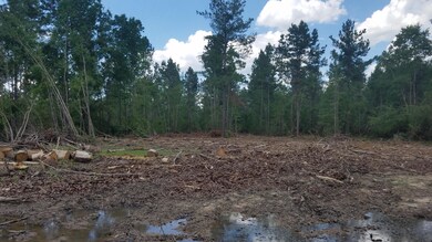 0 Tbd Little Happy Lane Lot 70 unit 2-5048, Deridder, LA 70634 - photo 5