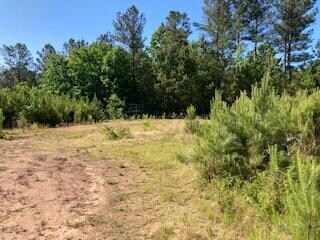 0 Waterford Ln unit 1355321, Rocky Face, GA 30740 - photo 2