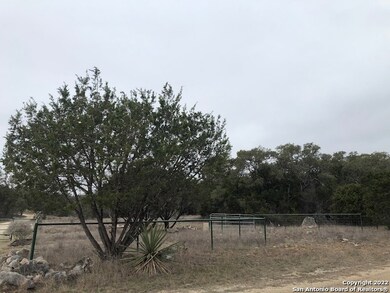 0 County Road 251 unit 1579193, Hondo, TX 78861 - photo 5