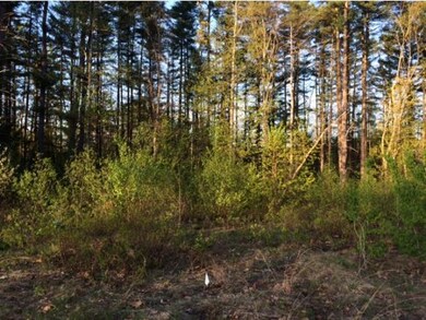 49 Old Milton Rd, Rochester, NH 03868 - photo 2