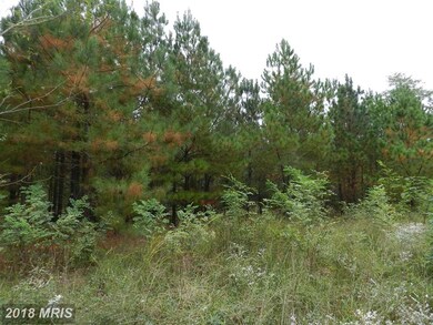 0 New Monrovia Rd, Colonial Beach, VA 22443 - photo 6