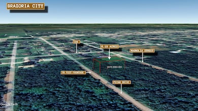 0 Pecan Dr unit Brazoria TX 77422, Brazoria, TX 77422 - photo 4