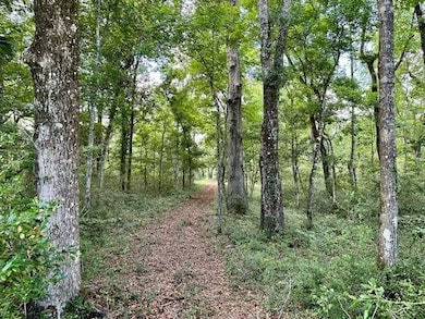 0 Jack Crum Rd unit 359125, Crawfordville, FL 32327 - photo 7