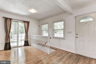 8304 Macarthur Blvd, Cabin John, MD 20818 - photo 4