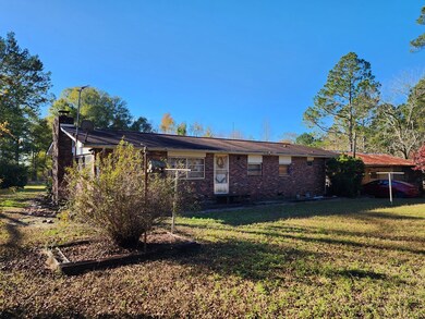 163 Merritt Rd, Sylvester, GA 31791 - photo 3