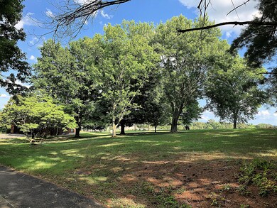 Shady Lot