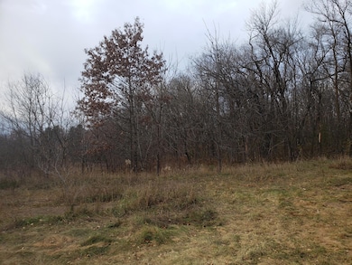 Lot 2 & 3 County Road M 202nd St, Alden Township, WI 54026 - photo 2