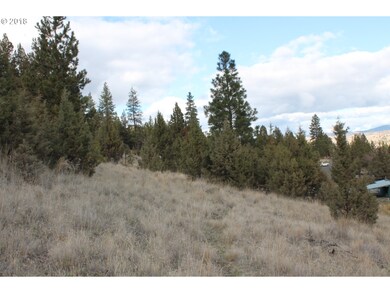 0 S Adam Dr unit 18349443, Canyon City, OR 97820 - photo 3