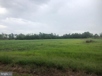 0 Toddville Rd unit 1002293242, Toddville, MD 21672 - photo 7