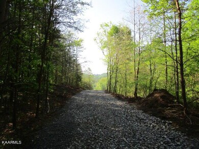 0 Cedar Rock unit 1189732, Rutledge, TN 37861 - photo 3